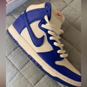 Nike dunk brand new